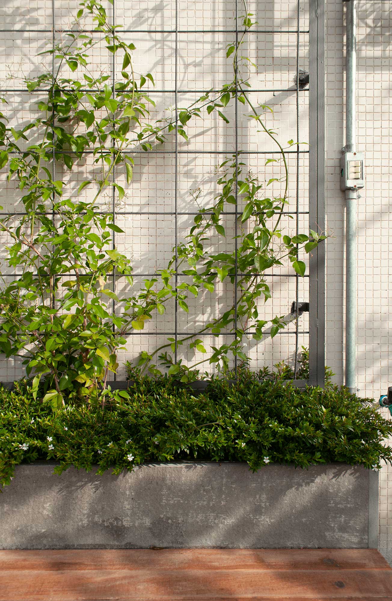 Helvetia Rooftop — project image 7